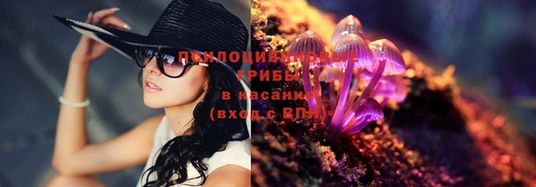 прущие грибы Алзамай