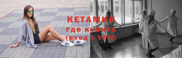 трава Гатчина