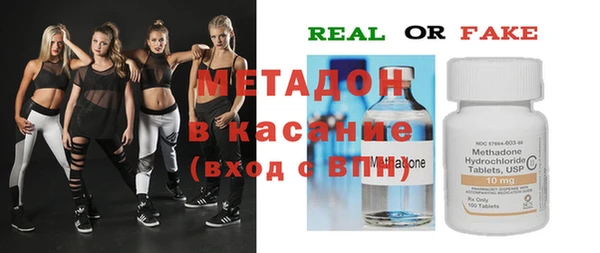 прущие грибы Алзамай